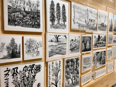 青春墨韵，中小学生硬笔书画作品巡展