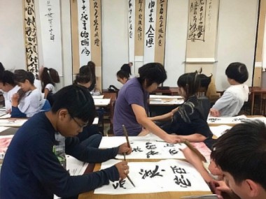 书画家协会硬笔书法考级，传承与创新共融，助力书法艺术提升